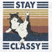Funny Stay Classy T-Shirt white retro cat design