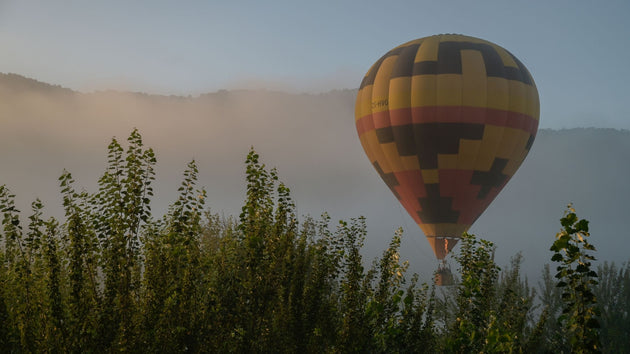 Hot Air Balloon Safari & Buffet Breakfast for One | Cradle of Humankind