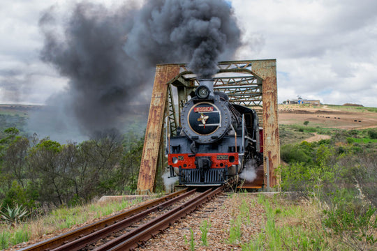 Book Steam Train Tickets To Elgin Market