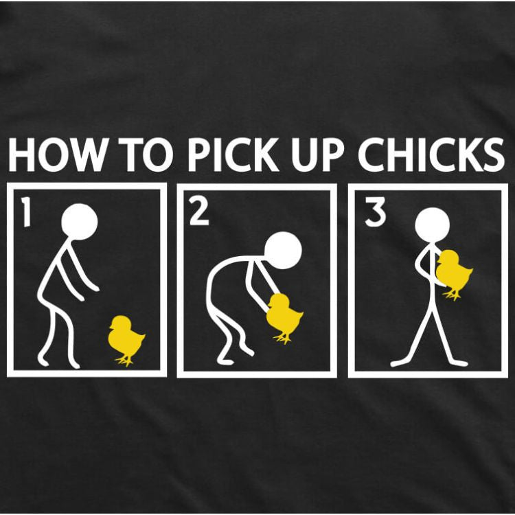 how to pick up chicks t-shirt black funny pun tee
