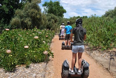 Segway Spier Wine Farm & Vineyard Tour | Stellenbosch