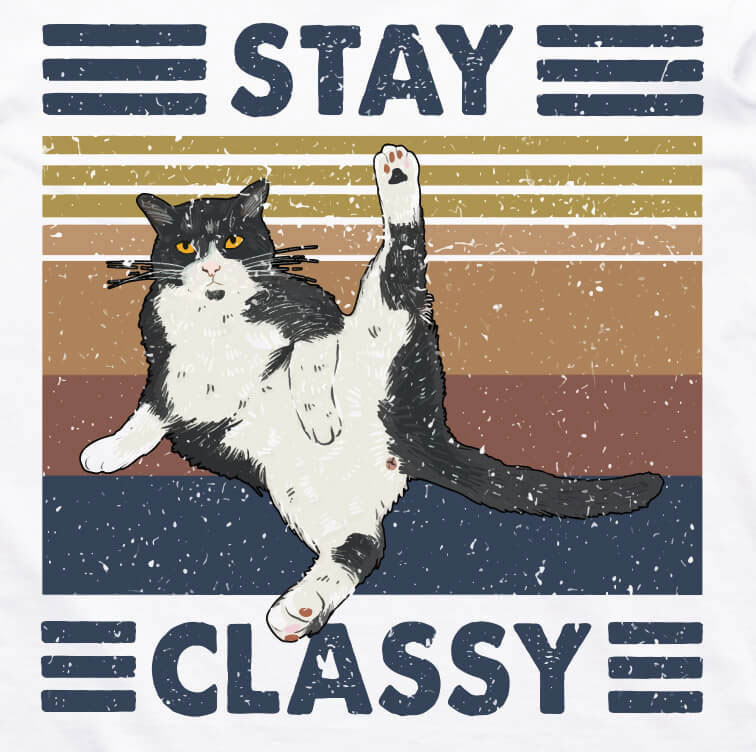Funny Stay Classy T-Shirt white retro cat design