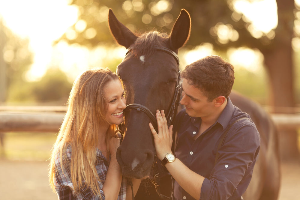 Horse Ride & Romantic Picnic for Two | Hekpoort