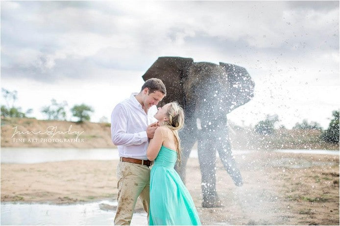 Ultimate Elephant Proposal for Two | Limpopo