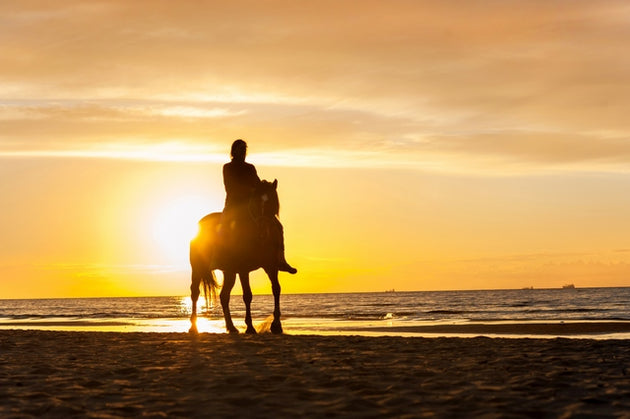 Sunset Beach Horse Ride for One | CPT